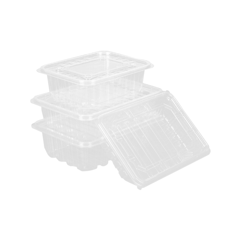 Einweg-Volltransparente Obstverpackungsbox
