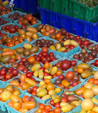 Lebensmitteltablett aus Kunststoff